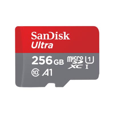 SanDisk Ultra GO C10 microSDXC 256GB